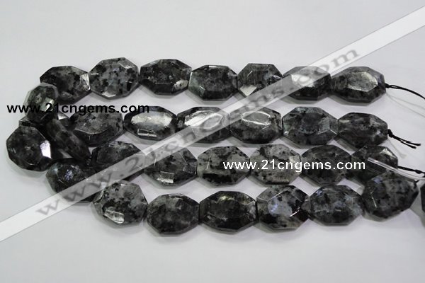 CLB325 15.5 inches 20*25mm octagonal black labradorite beads