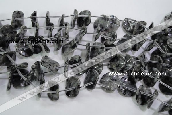 CLB326 Top-drilled 20mm wavy coin black labradorite beads