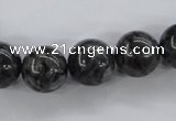 CLB355 15.5 inches 14mm round black labradorite beads wholesale