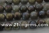 CLB602 15.5 inches 8mm round AB-color labradorite beads