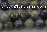 CLB603 15.5 inches 10mm round AB-color labradorite beads