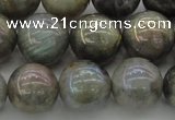 CLB605 15.5 inches 14mm round AB-color labradorite beads