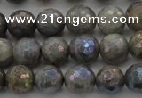 CLB613 15.5 inches 10mm faceted round AB-color labradorite beads