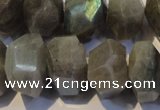 CLB701 15.5 inches 12*22mm - 14*24mm faceted nuggets labradorite beads