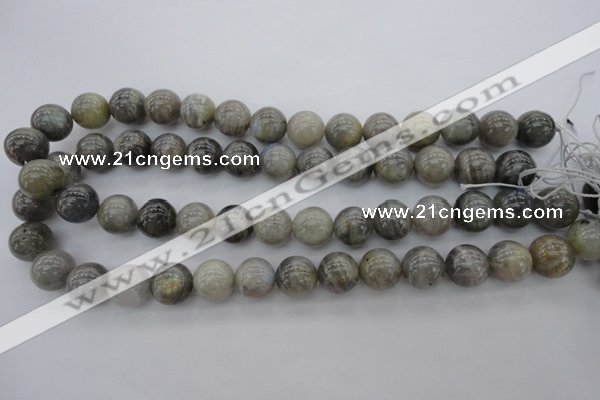 CLB710 15.5 inches 16mm round labradorite gemstone beads