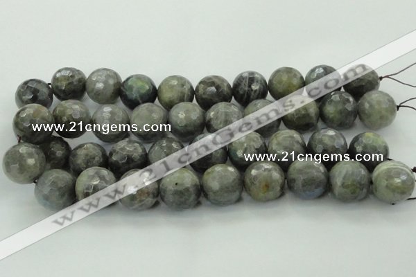 CLB715 15.5 inches 20mm faceted round labradorite gemstone beads