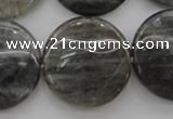 CLB739 15.5 inches 30mm flat round labradorite gemstone beads