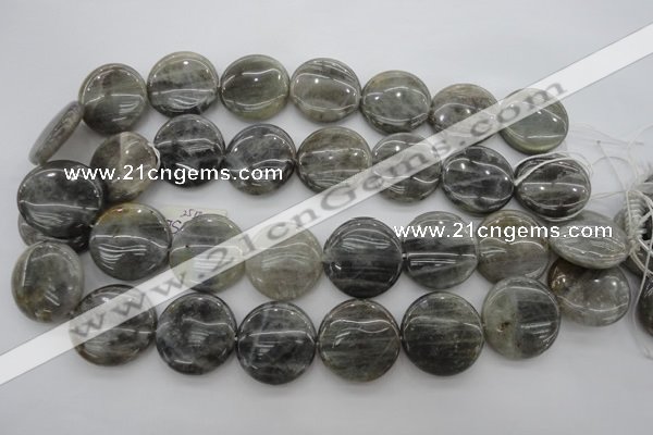 CLB739 15.5 inches 30mm flat round labradorite gemstone beads