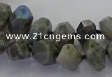 CLB765 15.5 inches 8*12mm - 12*16mm faceted nuggets labradorite beads