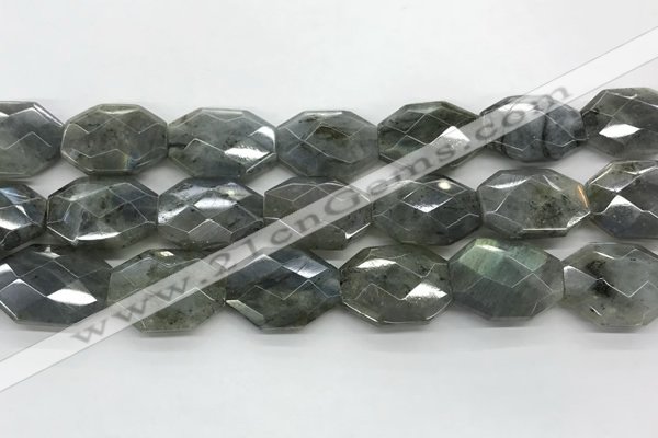 CLB797 18*24mm - 20*25mm faceted octagonal labradorite beads