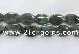 CLB799 25*30mm - 25*35mm faceted octagonal labradorite beads