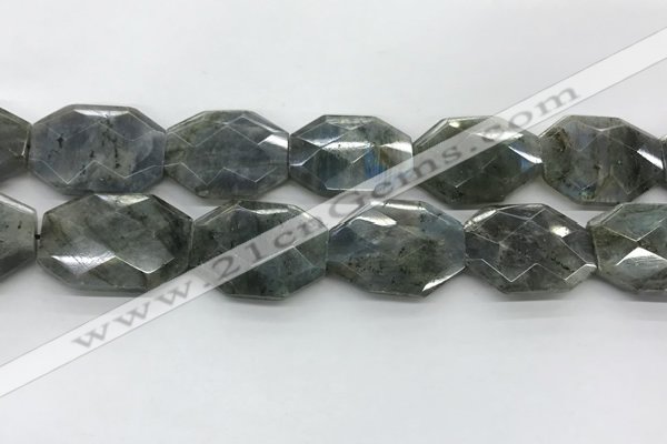 CLB799 25*30mm - 25*35mm faceted octagonal labradorite beads