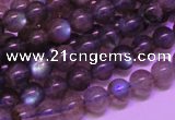 CLB812 15 inches 6mm round blue labradorite gemstone beads