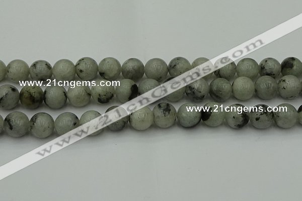 CLB855 15.5 inches 14mm round AB grade labradorite beads wholesale