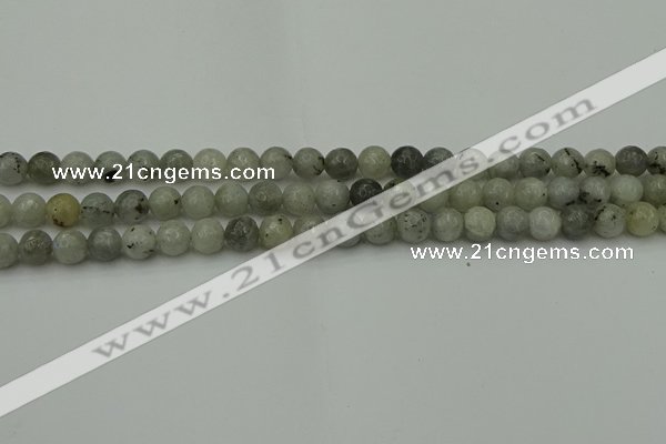 CLB861 15.5 inches 6mm faceted round AB grade labradorite beads