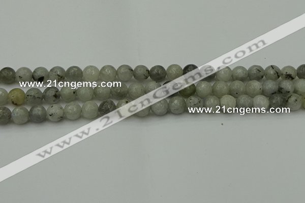 CLB862 15.5 inches 8mm faceted round AB grade labradorite beads