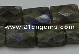 CLB963 15.5 inches 15*20mm faceted rectangle labradorite beads