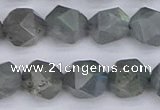 CLB983 15.5 inches 10mm faceted nuggets labradorite beads wholesale