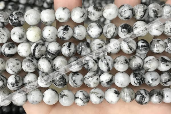 CLJ500 15.5 inches 4mm,6mm,8mm,10mm & 12mm round sesame jasper beads