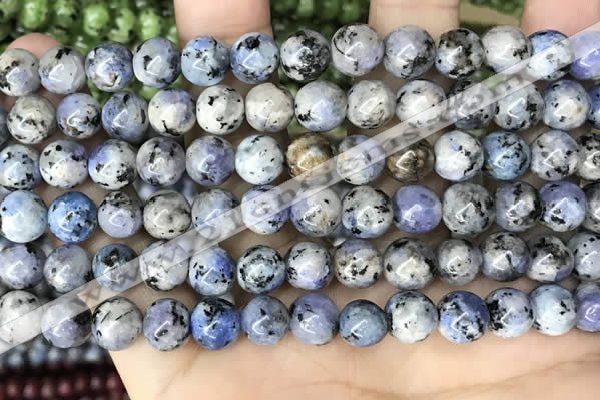 CLJ511 15.5 inches 4mm,6mm,8mm,10mm & 12mm round sesame jasper beads