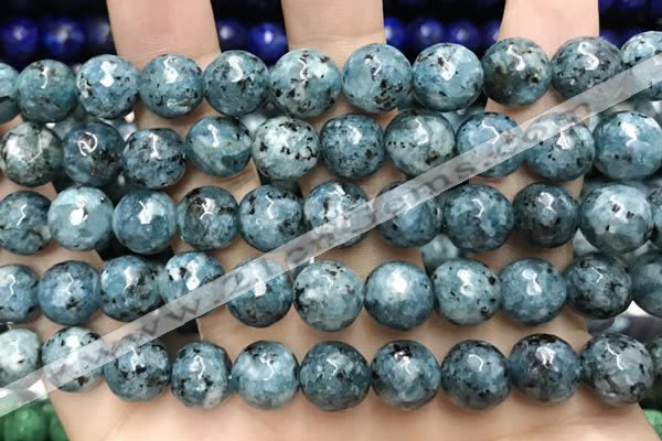 CLJ572 15 inches 10mm faceted round sesame jasper beads