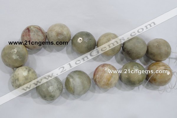 CLS04 15.5 inches 30mm faceted round large fossil coral beads