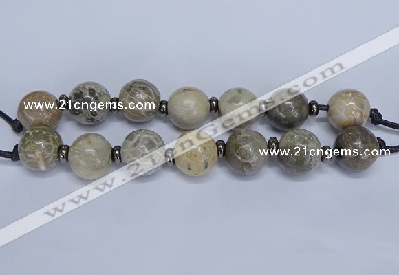 CLS200 7.5 inches 25mm round large chrysanthemum agate beads