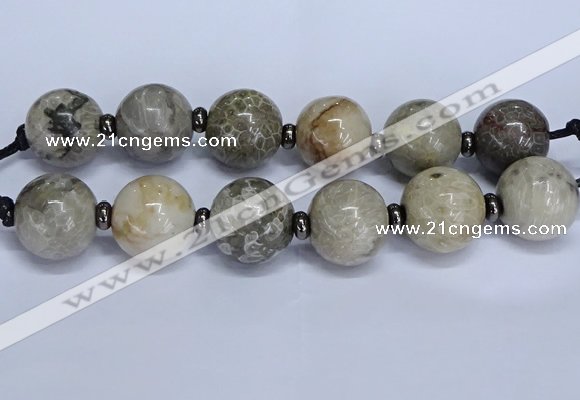 CLS252 7.5 inches 30mm round large chrysanthemum agate beads