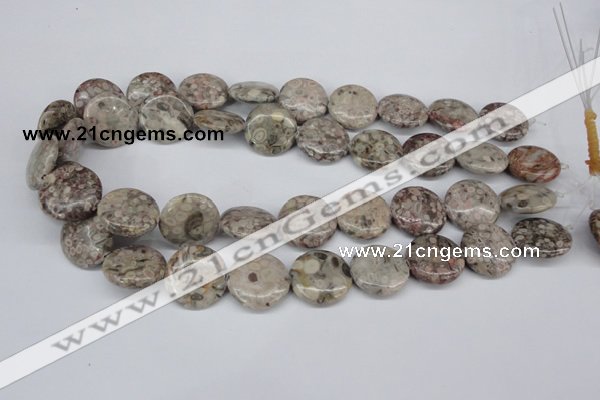 CMB11 15.5 inches 20mm flat round natural medical stone beads