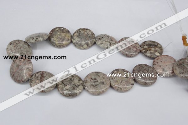 CMB14 15.5 inches 30mm flat round natural medical stone beads