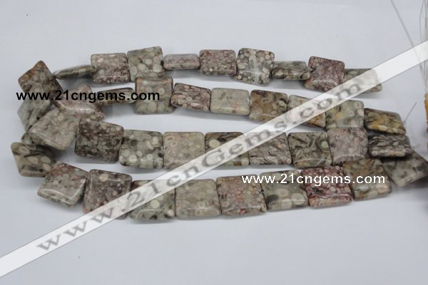 CMB22 15.5 inches 20*20mm square natural medical stone beads