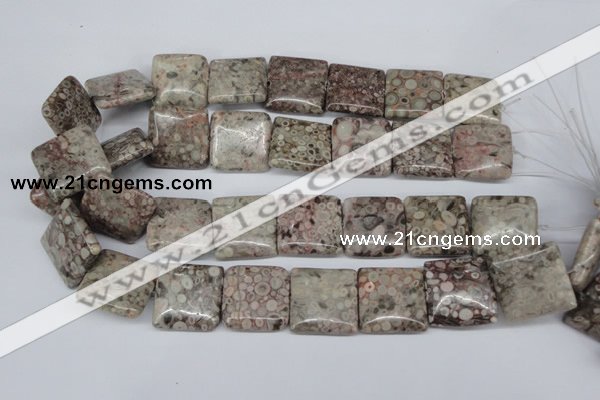 CMB23 15.5 inches 25*25mm square natural medical stone beads