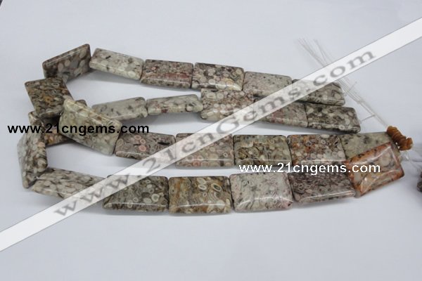 CMB28 15.5 inches 20*30mm rectangle natural medical stone beads