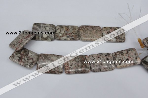 CMB29 15.5 inches 30*40mm rectangle natural medical stone beads