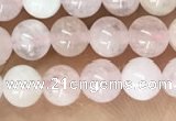 CMG408 15.5 inches 4mm round pink morganite beads wholesale