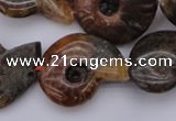 CMM01 15.5 inches 13*18mm - 30*35mm carved ammonite gemstone beads