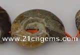 CMM02 15.5 inches 18*25mm - 35*45mm carved ammonite gemstone beads