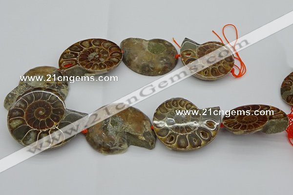 CMM03 15.5 inches 35*45mm - 45*55mm carved ammonite gemstone beads