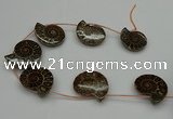 CMM05 15.5 inches 30*35mm - 35*40mm carved ammonite gemstone beads