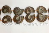 CMM10 15.5 inches 30*40mm - 35*45mm carved ammonite gemstone beads