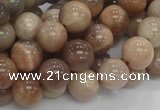 CMS03 15.5 inches 10mm round moonstone gemstone beads wholesale