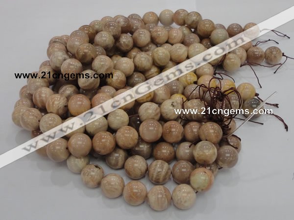 CMS04 15.5 inches 18mm round moonstone gemstone beads wholesale