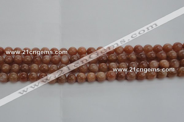 CMS1002 15.5 inches 8mm round AA grade moonstone gemstone beads