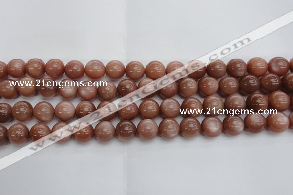 CMS1004 15.5 inches 12mm round AA grade moonstone gemstone beads