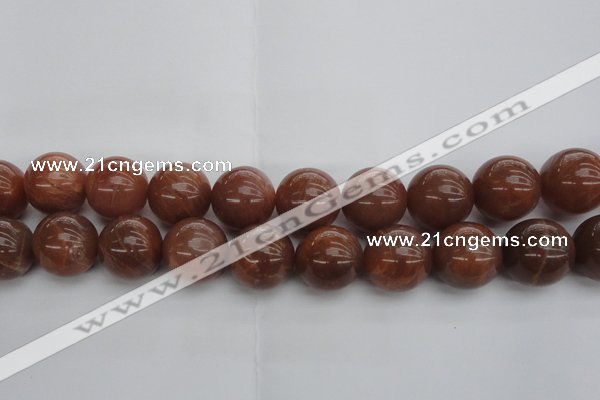 CMS1007 15.5 inches 18mm round AA grade moonstone gemstone beads