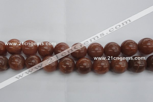 CMS1008 15.5 inches 20mm round AA grade moonstone gemstone beads