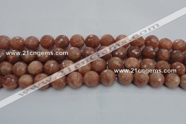 CMS1016 15.5 inches 14mm faceted round AA grade moonstone beads