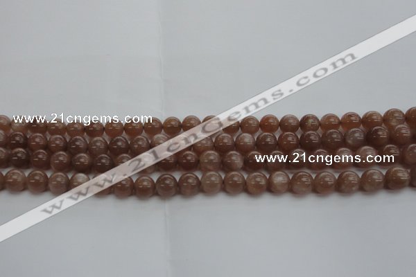 CMS1022 15.5 inches 8mm round AA grade moonstone gemstone beads