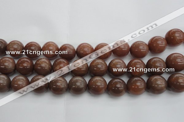 CMS1026 15.5 inches 16mm round AA grade moonstone gemstone beads