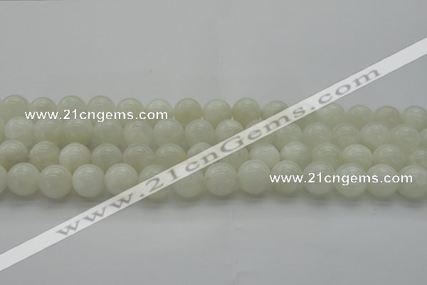 CMS1032 15.5 inches 8mm round A grade white moonstone beads